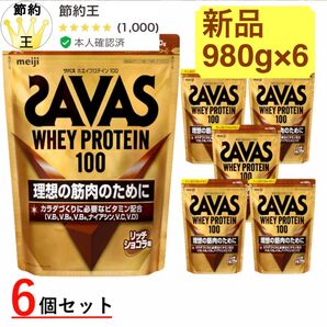 【匿名配送】SAVAS ホエイプロテイン100 リッチショコラ味 980g プロテイン 6袋