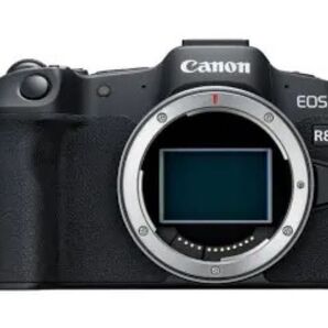 Canon EO R8 新品