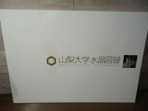 https://auc-pctr.c.yimg.jp/i/auctions.c.yimg.jp/images.auctions.yahoo.co.jp/image/dr000/auc0504/users/41fc723fc4f2b5bdcfe0c91a268d5955d3acf62b/i-img600x450-1713662741zll32f24.jpg?pri=l&w=300&h=300&up=0&nf_src=sy&nf_path=images/auc/pc/top/image/1.0.3/na_170x170.png&nf_st=200