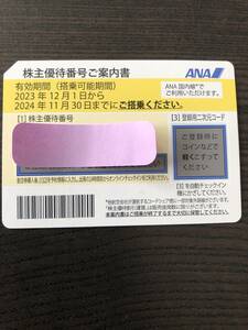 https://auc-pctr.c.yimg.jp/i/auctions.c.yimg.jp/images.auctions.yahoo.co.jp/image/dr000/auc0504/users/a0d6c0b4783581cd08f4a73ee614ce3e87ddeb8a/i-img900x1200-171426673120jihd264170.jpg?pri=l&w=300&h=300&up=0&nf_src=sy&nf_path=images/auc/pc/top/image/1.0.3/na_170x170.png&nf_st=200