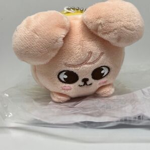 スキズ skzoo スンミン ミニバッグチャーム