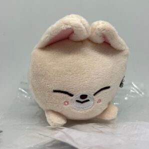 スキズ skzoo アイエン ミニバッグチャーム