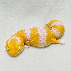 美品 アルビノ ニシアフリカトカゲモドキ おやすみシリーズ クオリア