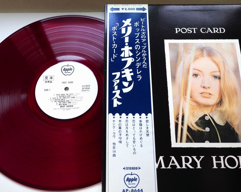 WOOL & THE PANTS レコード LP - メルカリ