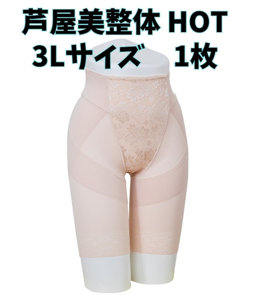 芦屋美整体 骨盤スリムショーツ HOT ベージュ 3Lサイズ 補正下着