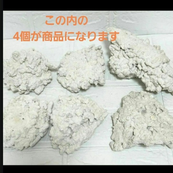60cm水槽用★人工ライブロック4個セット 3kg前後 あく抜き済み