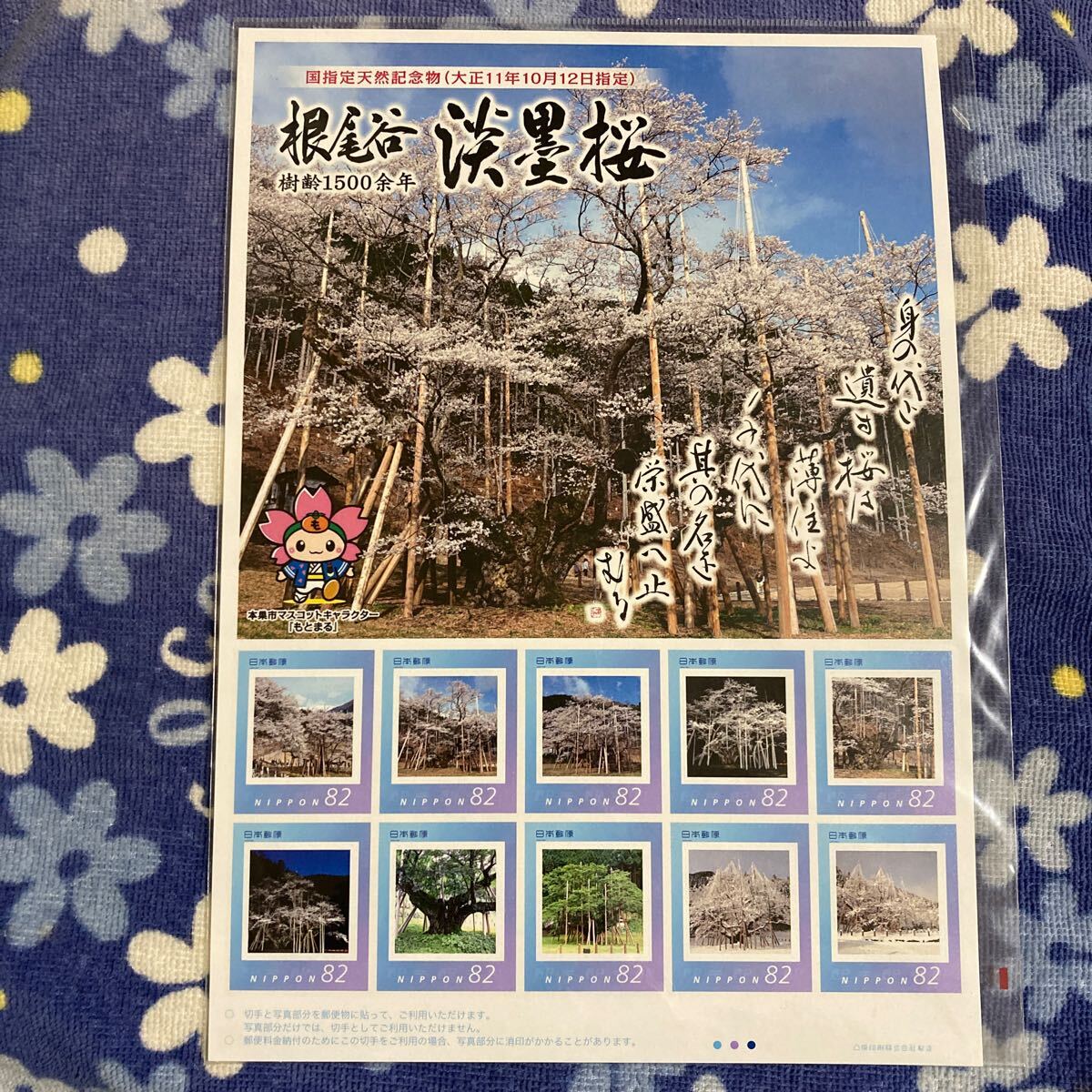 Yahoo!オークション -「淡墨桜」の落札相場・落札価格