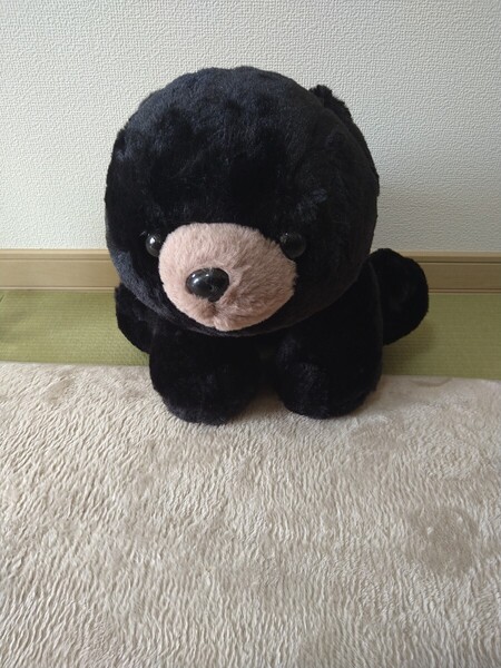 白くまのバニラ ぬいぐるみ くま クマ おすわり
