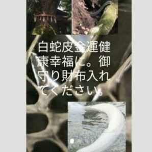 白ヘビお守りつき 金運悩み受付 悩み霊視 祈祷全てやります。