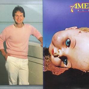 匿名・送料無料! アメリカ/America ダン・ピーク/Dan Peek LPレコードセット 「アリバイ/Alibi」「Doer of the Word」