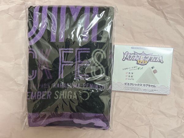 イナズマロックフェス 2024 IVIP特典 グッズ