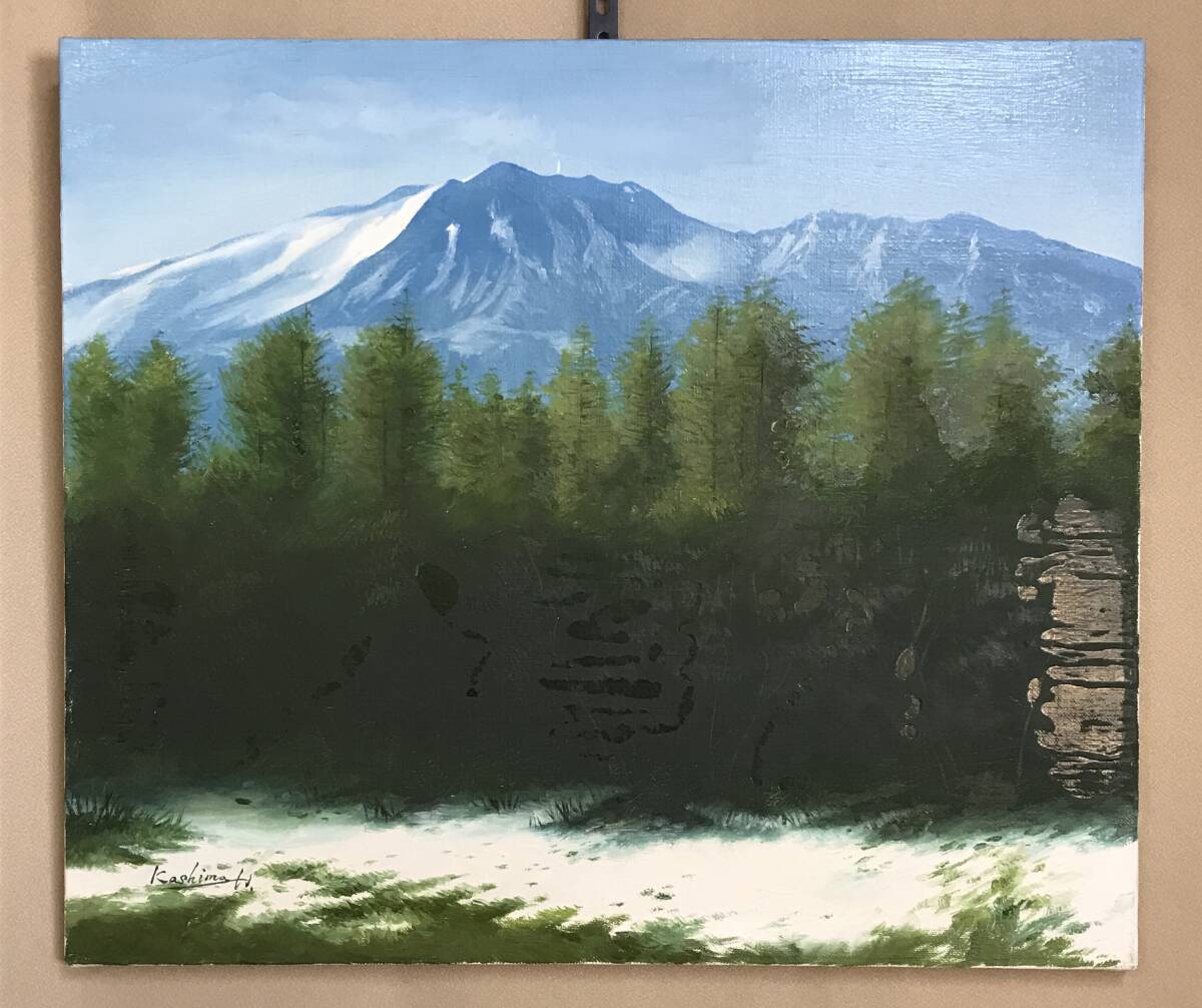 Yahoo!オークション -「:浅間」(油彩) (絵画)の落札相場・落札価格 Yahoo!オークション -「:浅間」(油彩) (絵画)の落札相場・落札価格