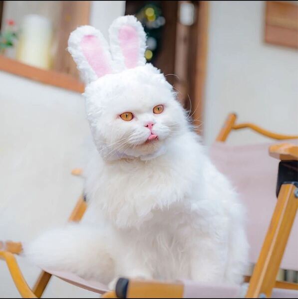 うさぎの耳 うさ耳 被り物 ペット服 卯年 ウサギ かぶりもの