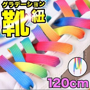 【靴ひも】レインボー 120cm スニーカー アレンジ 男女兼用 カラフル
