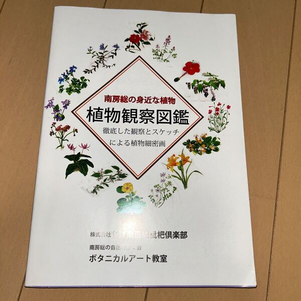 南南房の身近な植物 植物観察図鑑 徹底した観察とスケッチによる植物細密画 ボタニカルアート教室