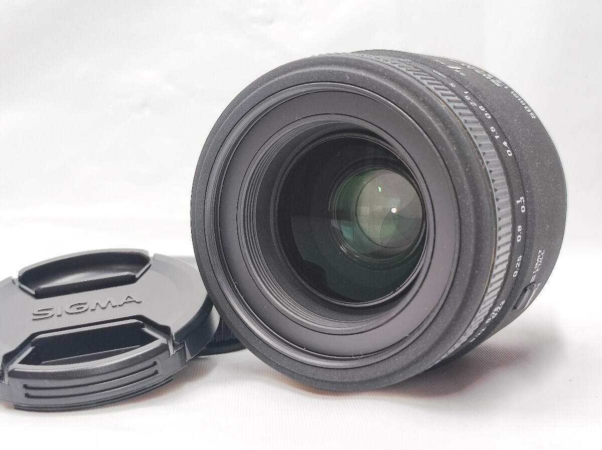 2025年最新】Yahoo!オークション -sigma macro 50mm f2.8 ex dg 2025年最新】Yahoo!オークション -sigma macro 50mm f2.8 ex dg