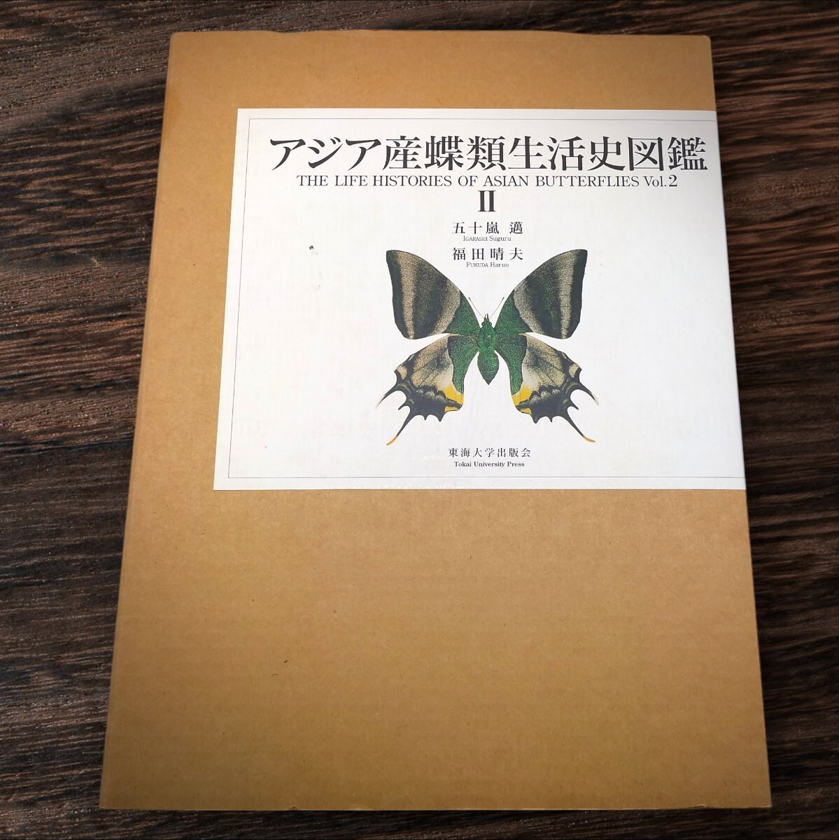 2025年最新】Yahoo!オークション -蝶(昆虫)の中古品・新品・古本一覧 2025年最新】Yahoo!オークション -蝶(昆虫)の中古品・新品・古本一覧