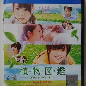植物図鑑 運命の恋、ひろいました Blu-ray/岩田剛典 高畑充希 阿部丈二 今井華 谷澤恵里香 相島一之 酒井敏也 木下隆行 ダンカン(美品)