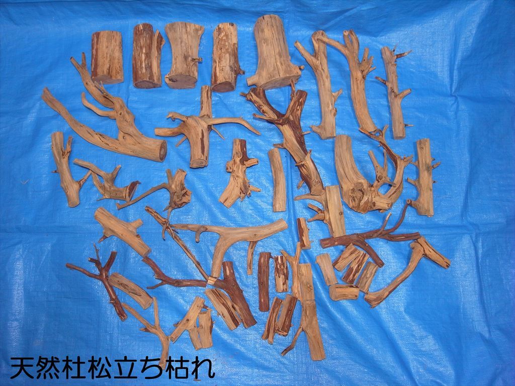 セ*ノ様 【極上品】【新品未使用品、中古美品】【⭐︎希少⭐︎杜松万力】 万久作の Yahoo!オークション -「杜松 万力」の落札相場・落札価格