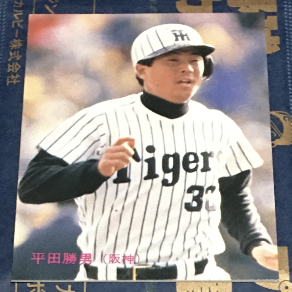 2025年最新】Yahoo!オークション -阪神 平田の中古品・新品・未 2025年最新】Yahoo!オークション -阪神 平田の中古品・新品・未