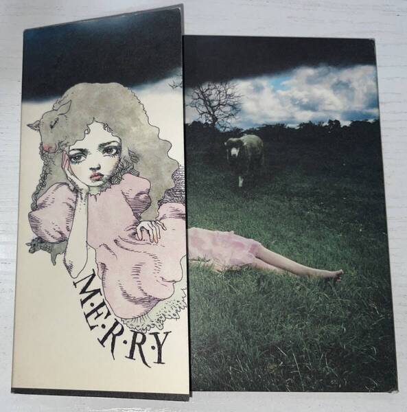 ★メリー M.E.R.R.Y. CD+DVD★