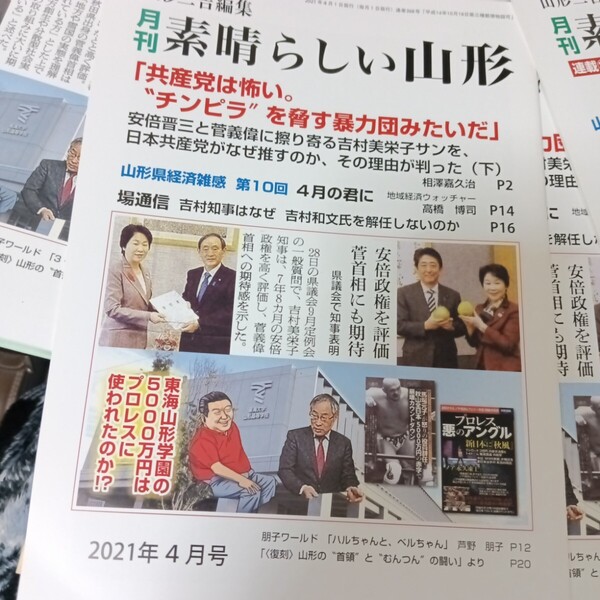 月刊 素晴らしい山形 共産党はこわい。チンピラを脅す暴力団みたいだ 吉村美栄子 山形 新品未使用