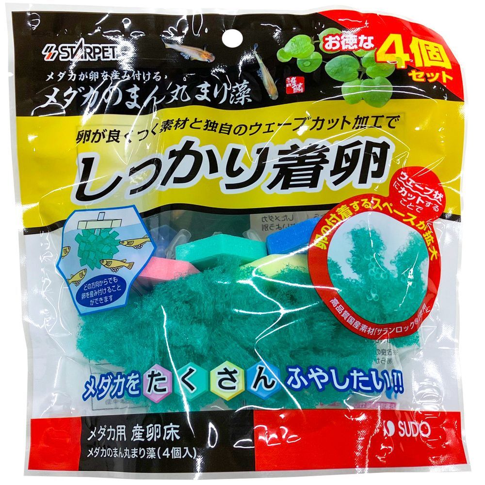 Yahoo!オークション -「ブセファランドラsp」(水草) (魚、水草