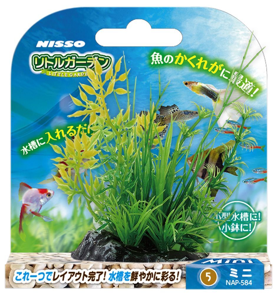 Yahoo!オークション -「ブセファランドラsp」(水草) (魚、水草