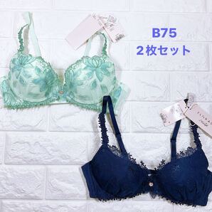 新品 トリンプ フロラーレ510 ブラジャー2枚セットB75