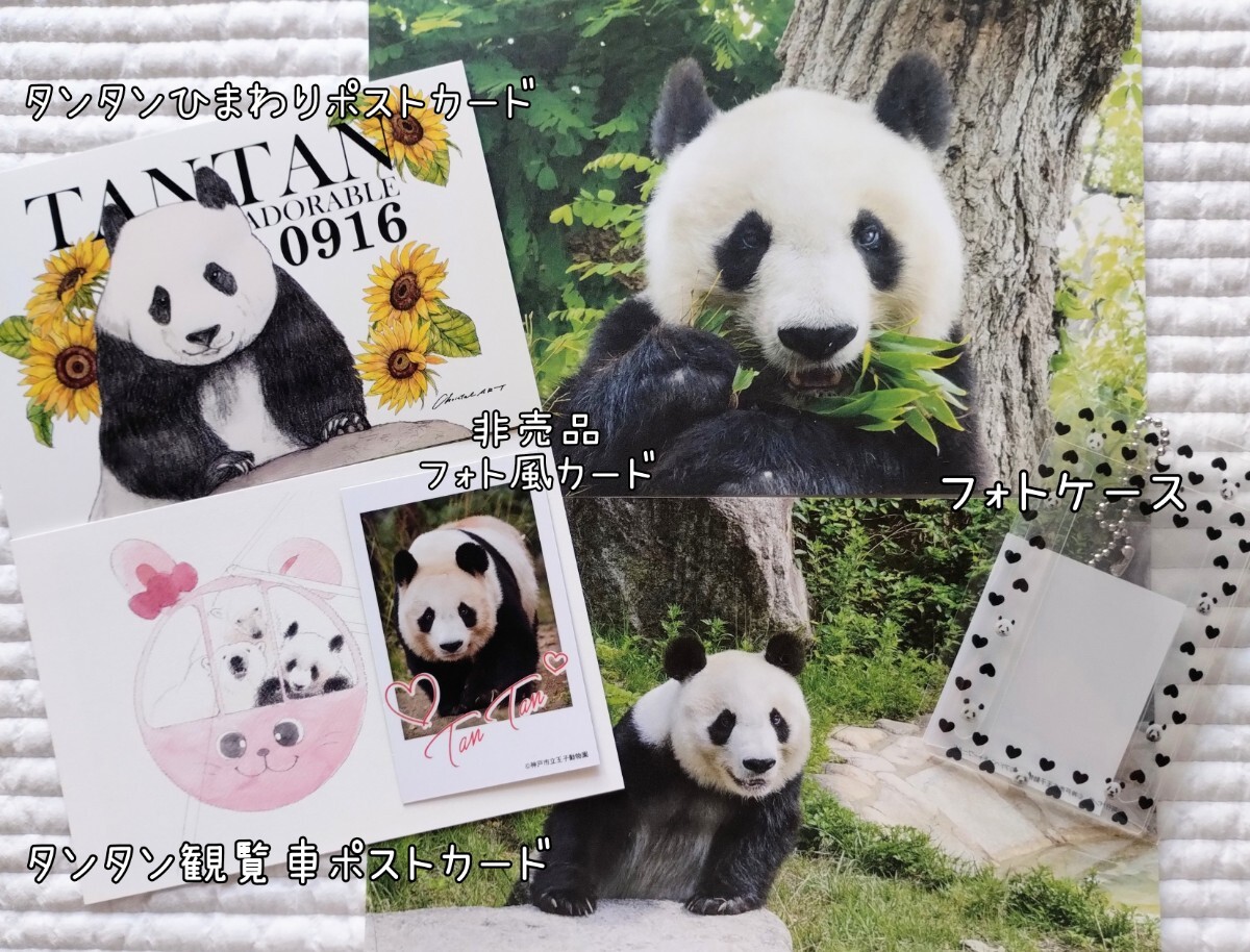 Yahoo!オークション -「タンタン」(パンダ) (動物)の落札相場 Yahoo!オークション -「タンタン」(パンダ) (動物)の落札相場