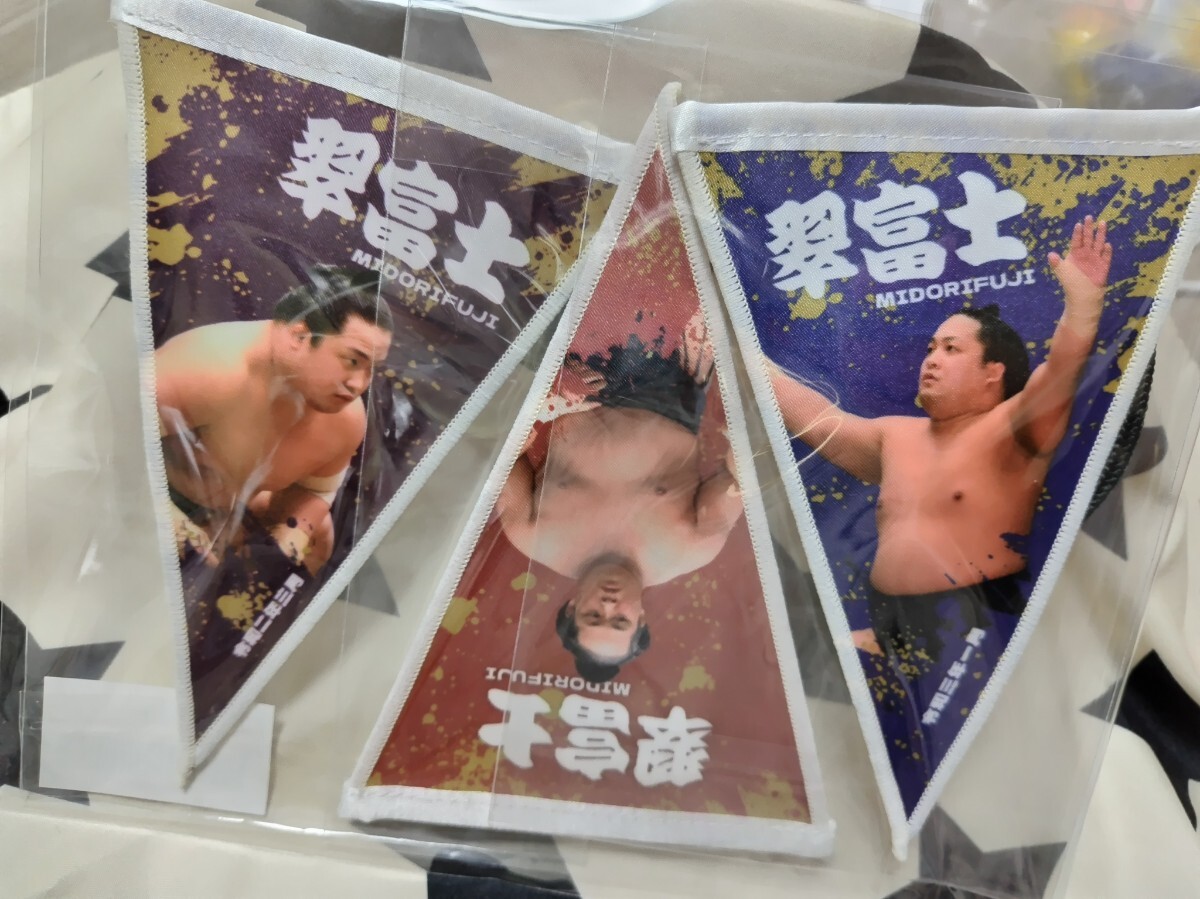 2025年最新】Yahoo!オークション -大相撲グッズの中古品・新品