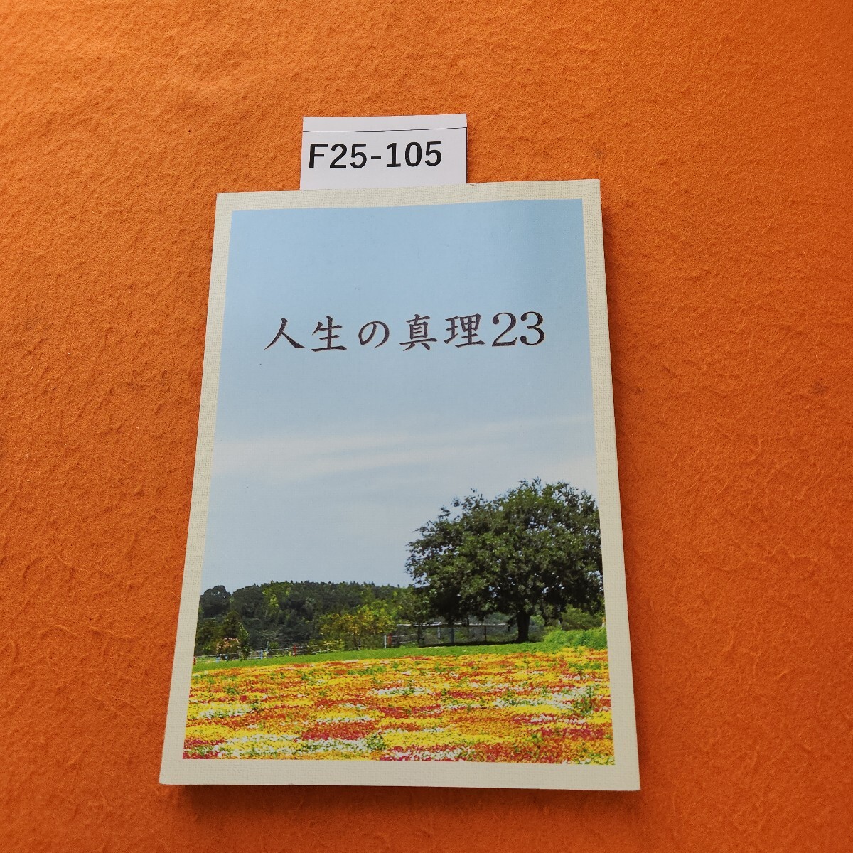 2025年最新】Yahoo!オークション -神示教会の中古品・新品・未 2025年最新】Yahoo!オークション -神示教会の中古品・新品・未