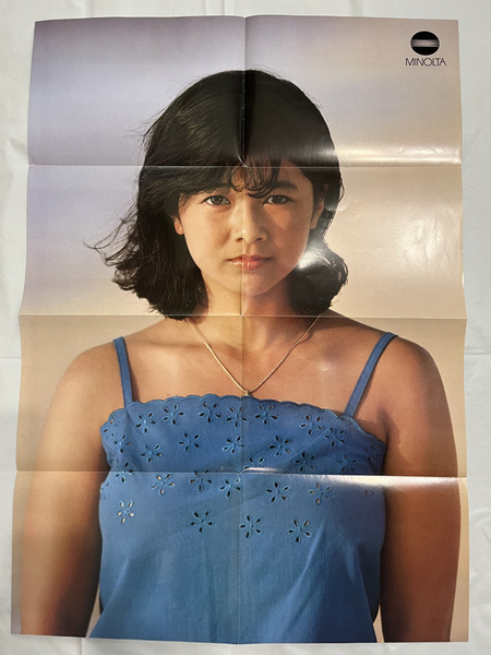 貴重品 宮崎美子 ミノルタ パンフレット 2種類セット 特大ポスター 59センチ×83センチ 水着ショットあり カタログ 送料無料