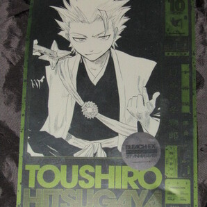 送料無料 BLEACH生誕20周年記念原画展 BLEACH EX. 日番谷冬獅郎 クリアカード 入場特典