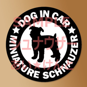 犬【ミニチュアシュナウザー】黒 マグネット ステッカー 防水 車用【匿名配送】