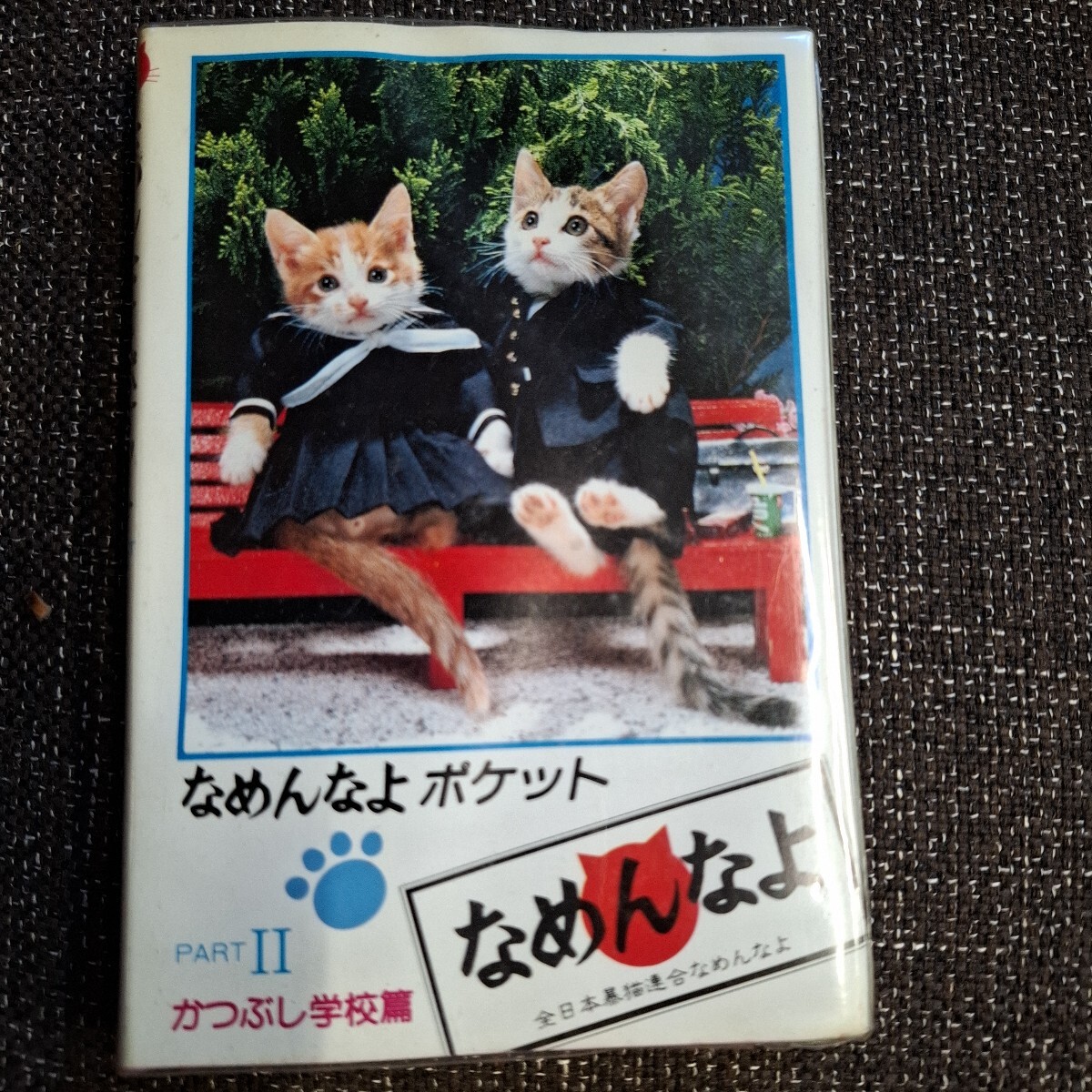 Yahoo!オークション -「なめ猫(なめんなよ」(本、雑誌) の落札