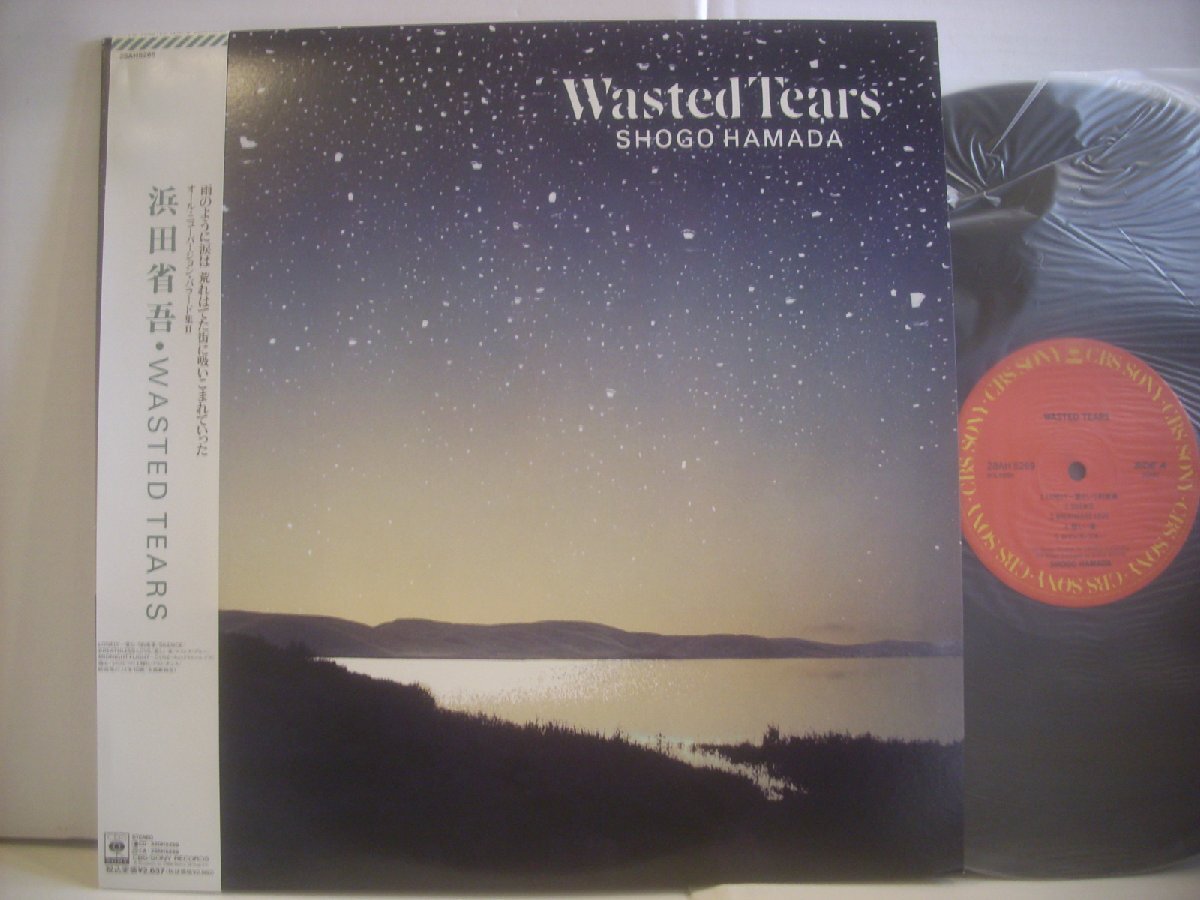 Yahoo!オークション -「浜田省吾 wasted tears lp」の落札相場 Yahoo!オークション -「浜田省吾 wasted tears lp」の落札相場
