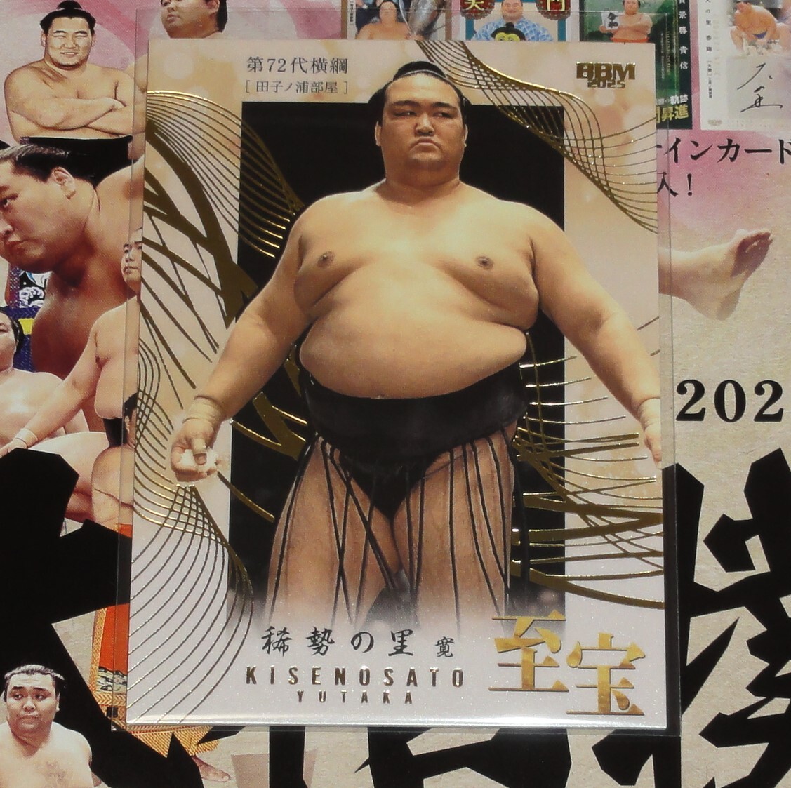 稀勢の里が力士選士権2連覇「横綱として勝て光栄」 - 大相撲