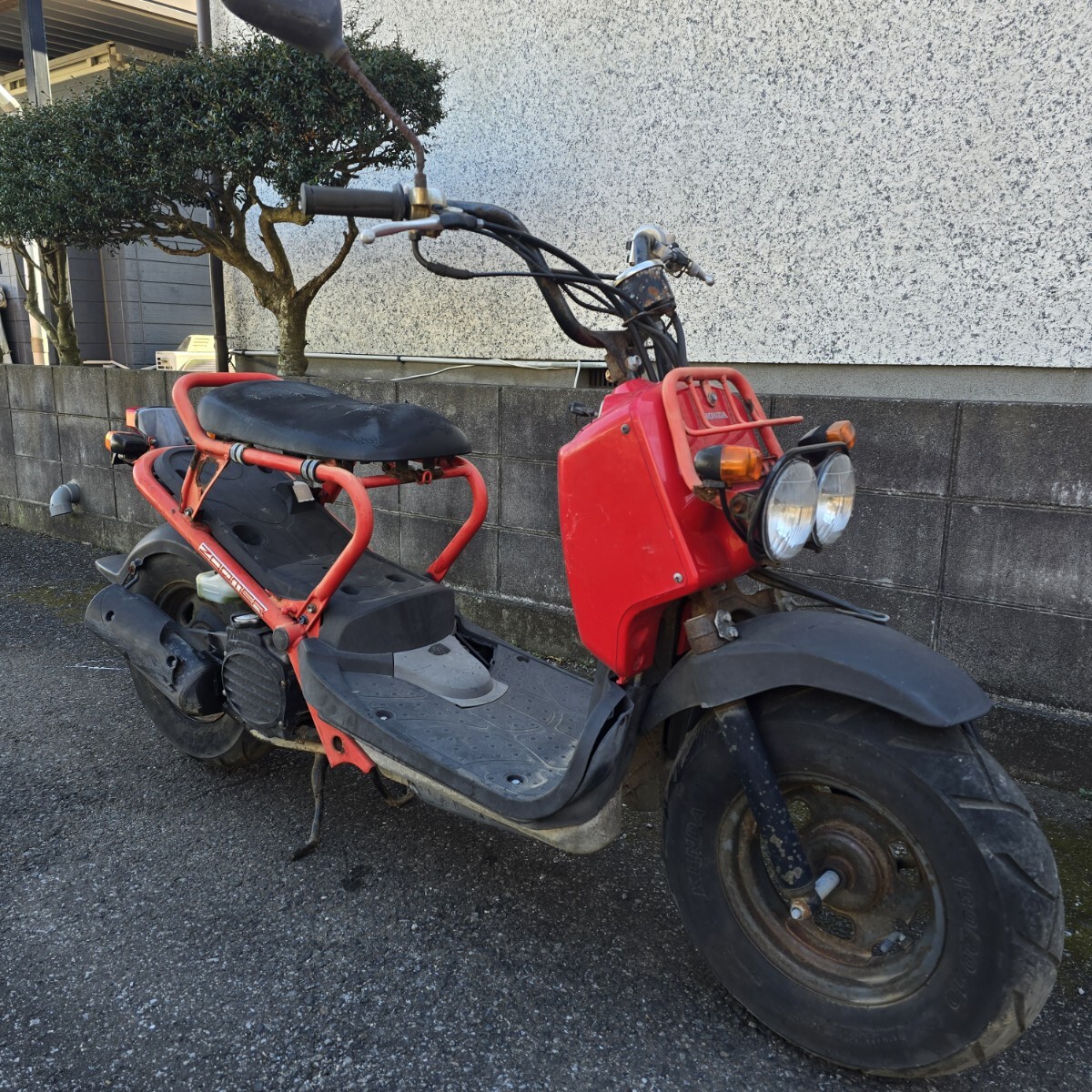 ズーマー ZOOMER AF58 バッテリー新品 オイル交換済 千葉県 配達可能 50㏄ 書類あり ホンダ
