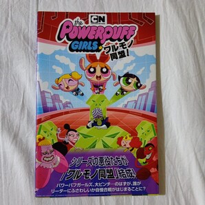 パワーパフ ガールズ ワルモノ同盟! ヘイリー・マンシーニ ジェイク・ゴールドマン フィリップ・マーフィー