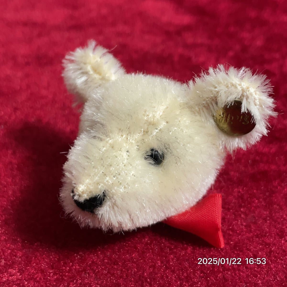Steiff(シュタイフ) テディベア ベン [CONCENT]コンセント