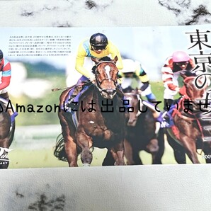 【競馬】ウオッカ 安田記念ver. 写真 JRA calendar