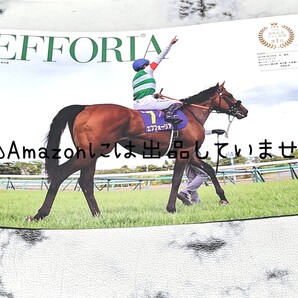 【競馬】エフフォーリア 有馬記念ファン投票1位ver. 写真 JRA calendar