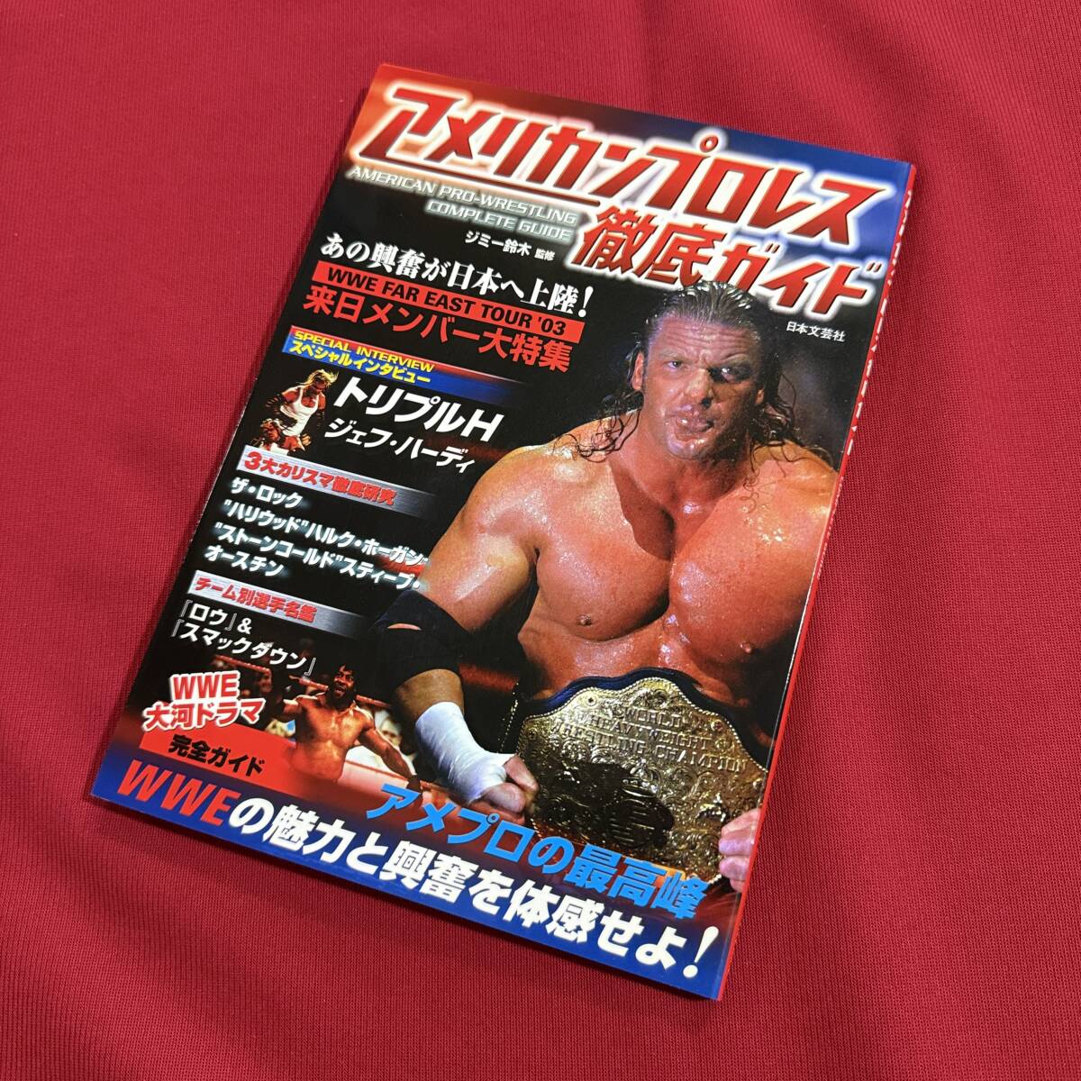 2025年最新】Yahoo!オークション -ハルク ホーガンの中古品