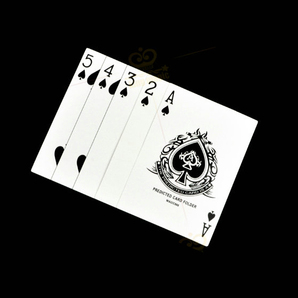 送料無料! サイズサプライズカードマジック 新品 激安 マジック 手品 gold