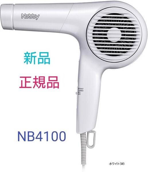 マイナスイオンヘアードライヤー NB4100