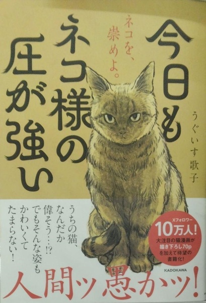 完全新品 今日もネコ様の圧が強い 単行本 うぐいす 歌子