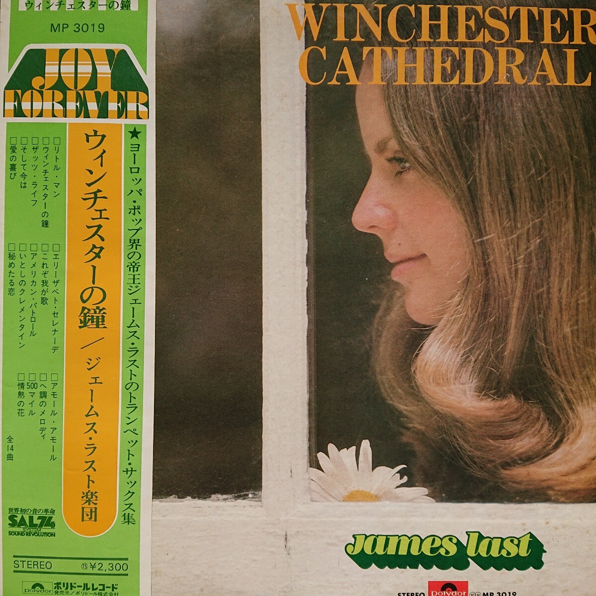 ジェームス・ラスト JAMES LAST 輸入盤 LP 17枚セット