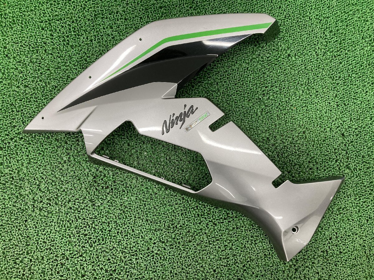 kawasaki Ninja H2 純正サイドカウル 右 49133-0008 - メルカリ