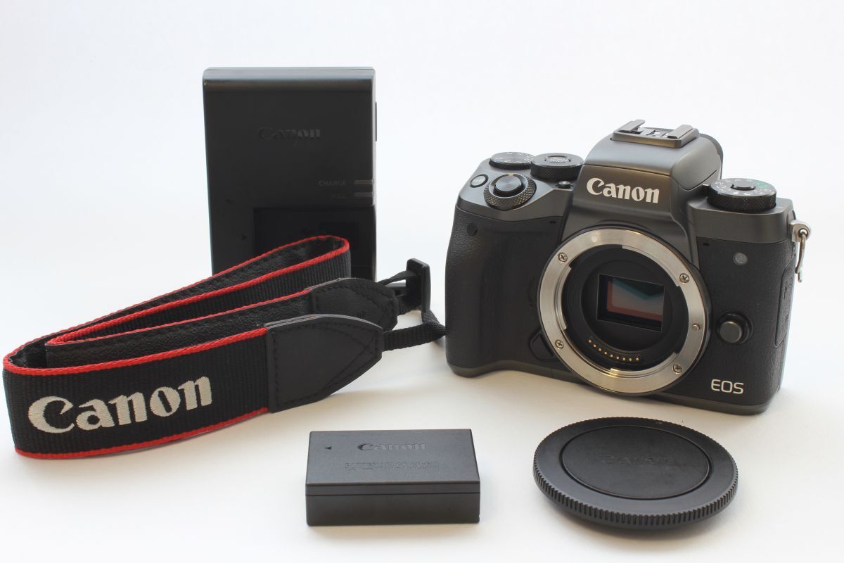 Canon EOS M5(本体、バッテリー、充電器、ストラップ) キャノン Canon EOS M5 動作確認済 バッテリー 充電器